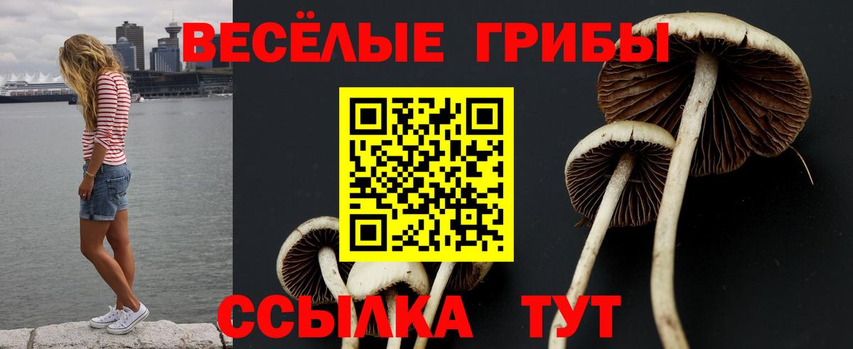 Волгоград  Галлюциногенные грибы Psilocybine cubensis  Галлюциногенные грибы мицелий  Вход с VPN 
